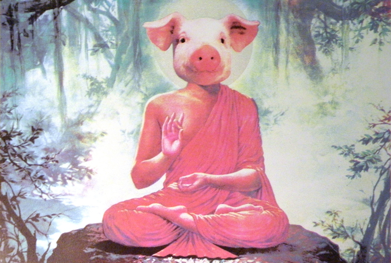 Buddha Pig - Karen Fiorito